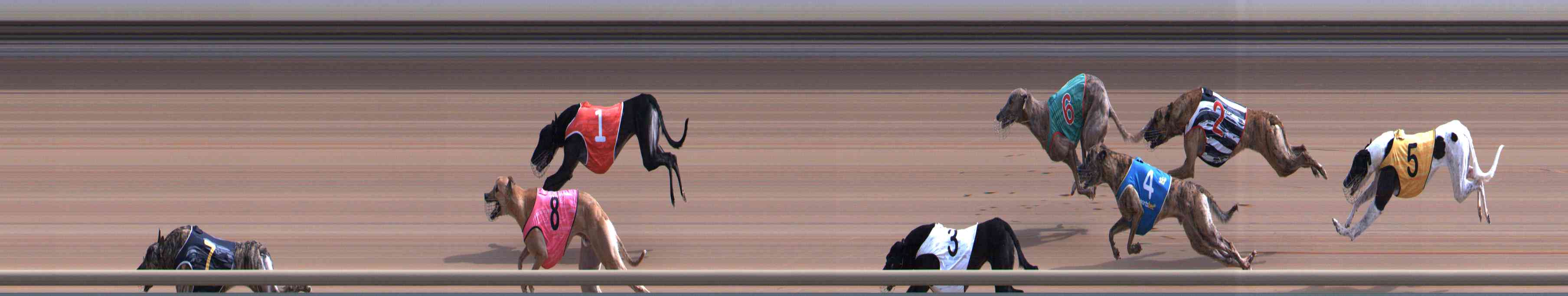 Race result finish photo
